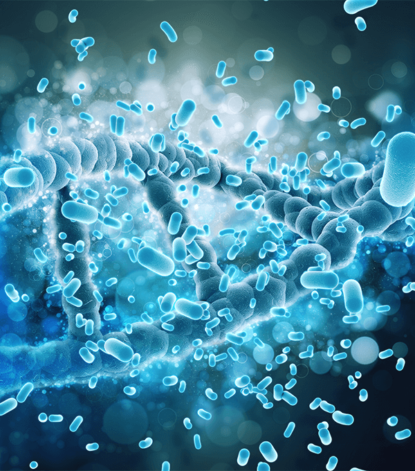 Lactobacillus Acidophilus 